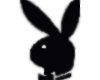 Playboy Black