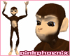 Coco the Monkey