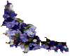 blue corner flowers (bl)