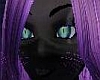 The Cat Box Inv VoiceBox