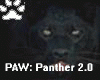 PAW(Panther)Sport Wear
