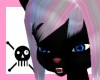 Black Cat Head