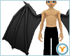 Fld Dragon Wings: Black