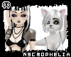 Pretty Kitties