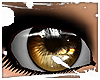 [D� iShyn - Brown