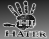~Hi Hater~