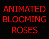 [DS]HEAT BLOOMING ROSES