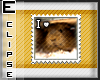 [E]::..I lv Guinea pigs