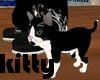 BLACK & WHITE KITTY PET