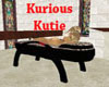 Exotic Massage Table
