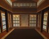 Dojo