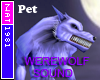 Get The Twilight Werewolf Pet Here!