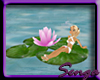 Pink water lily