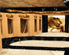 {ds} room palace