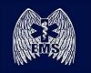 Product Image for ems wings