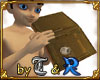 Medieval Secret Diary