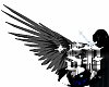 *SA Fading Black Wings