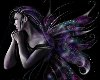 dark fairy