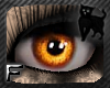 *.:.* BlackCat's Boutique UPDATED New Innocent Skin Set!! (3/18/10) *.:.* Images_56f943ef8b62ad99e79b8dd3a066df0e