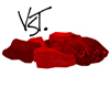 [~V] Luxred Pillows