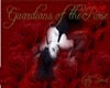 Dragonforce -  Through