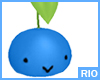 [R] Blueberrie