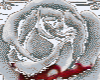 Blood Rose