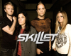 Skillet 3