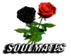 Red/Black Soulmate Roses