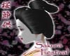 Sakura Geisha Hair