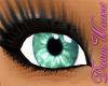 DW1 Eyes {PIXIE}