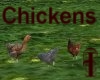^j^ Chickens ^j^