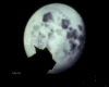 [BBC]animated Wolf Howl