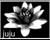 GOTHIC Lotus
