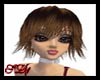 SD Agyness Choc Brown