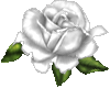 sticker_1596011_4662614