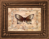 Framed Cheetah Butterfly