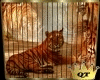 QT~Tiger Rotating Frame