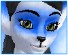 Blue Candy Tabby