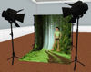WS Forest Walk Backdrop
