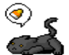 Kitty