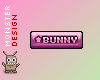 (BS) BUNNY Sticker