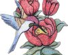 Humming Bird