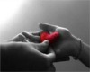 (JJ)I GIVE U MY HEART