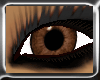 RealMedBrownEyes