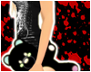 ;] RainBow-Black [Teddy]