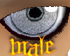 PHz ~ Grey Speckled M
