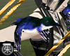 }T{Hummingbird magic