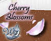 Falling Cherry Blossoms