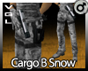 VGL Cargo B Snow